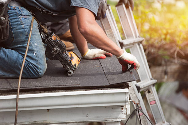 Best Shingle Roofing Installation  in Lawtey, FL
