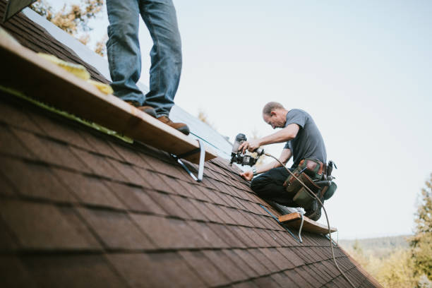 Best Storm Damage Roof Repair  in Lawtey, FL