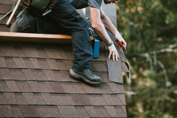 Best Roof Gutter Cleaning  in Lawtey, FL